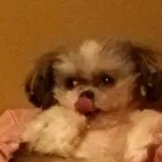 かにさんさん