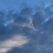 龍脈の精髄 クラスター 魂を浄化しご縁を結ぶ 売上一部保護猫活動に