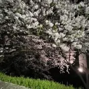 YuRaꕤ*.゜の画像