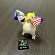 まーぼーちゃんの画像