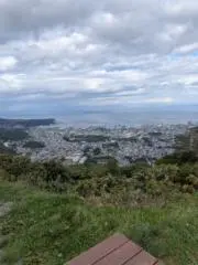 シュウの画像
