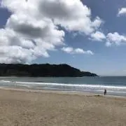 sunflowerの画像