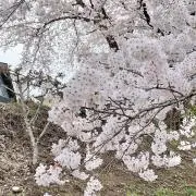 miの画像