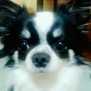 ★M★の画像