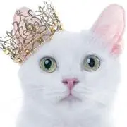 ウッキーの画像