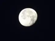 スズの画像