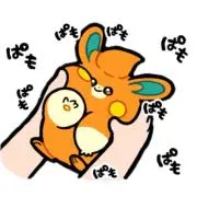 ゆきゃの画像