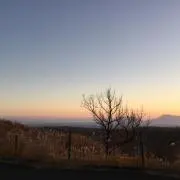 ルータワの画像