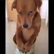 一橋荘二朗