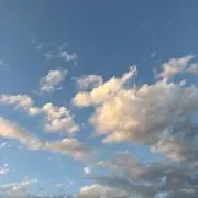 パー子の画像