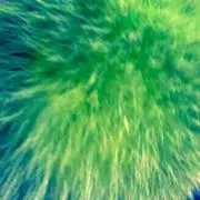 ✧marimo✧即購入可♡まとめ買歓迎♡の画像