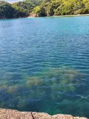 アジングの画像