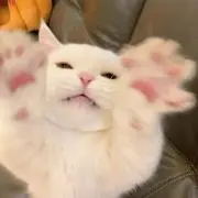♥️の画像