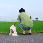 ともたろうの画像