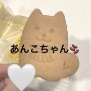 あんこちゃん@整理整頓の画像