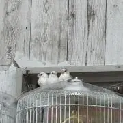 断捨離中の画像