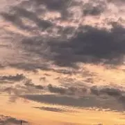 あゆ