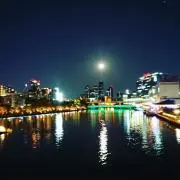 モモンガの画像