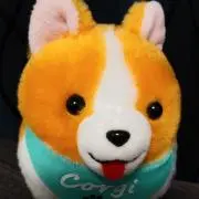カリポリの画像