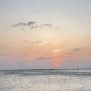 wakuの画像