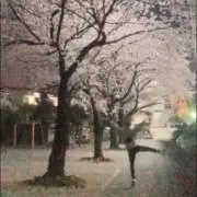 おしんの画像