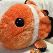 kumanomiの画像