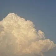虚の画像