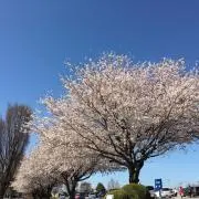 Hiroki Hayashi