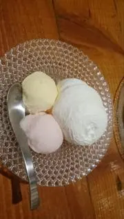 たまご（ '-' ）の画像