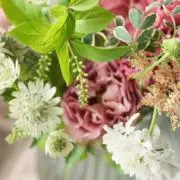 juneの画像