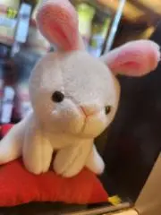 ねずこの画像