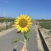 ァの画像