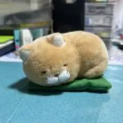 PON ※プロフ一読くださいの画像