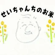 せいちゃんちのお米の画像