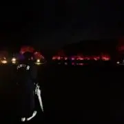 AmamAの画像