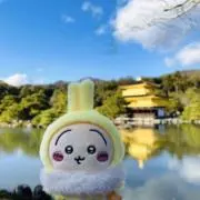 Hannahの画像