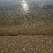 特濃の画像