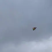ハム⚾️の画像