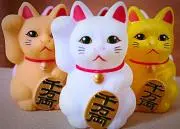 まねきねこd   プロフ必読の画像