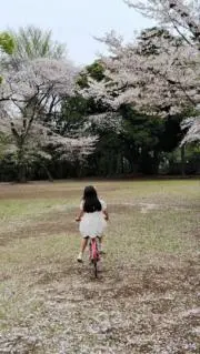 雑貨屋さんの画像