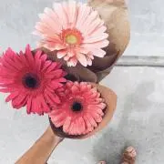 me.の画像