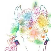 プロフ読んで下さい★の画像