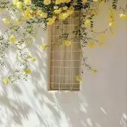pyumy@の画像