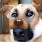 さこんの画像