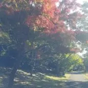 娑婆ブルー