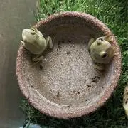 かえるの画像