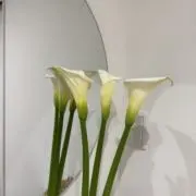 minamizatoの画像