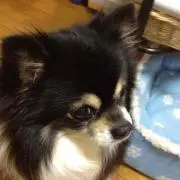 こじ