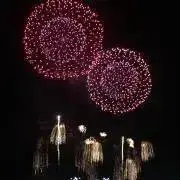 チップ(*´ω｀*)の画像