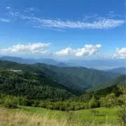 takoyakiの画像